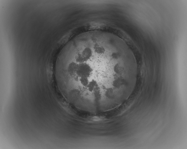 X0000112010737200908101341