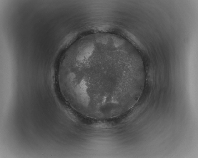 X0000112010738200908101341