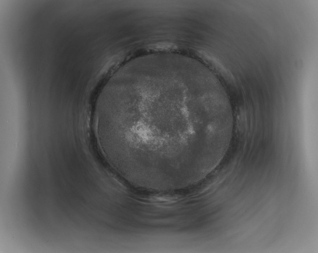 X0000112010739200908101341