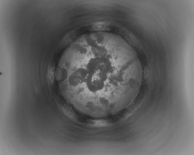 X0000112010741200908101341