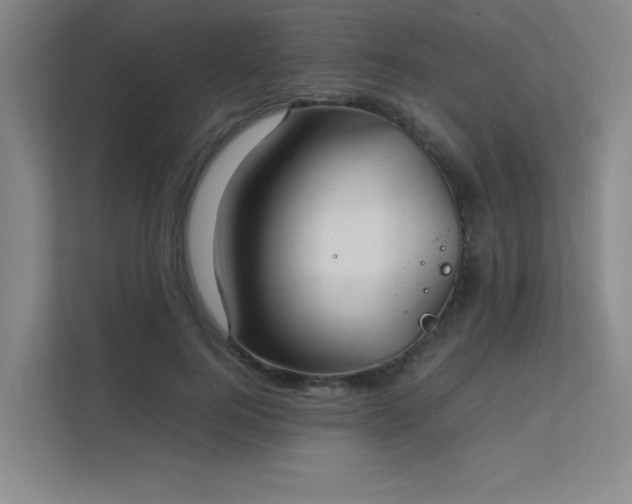 X0000112010744200908101341