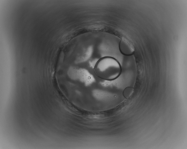 X0000112010745200908101341