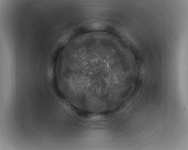 X0000112010746200908101341