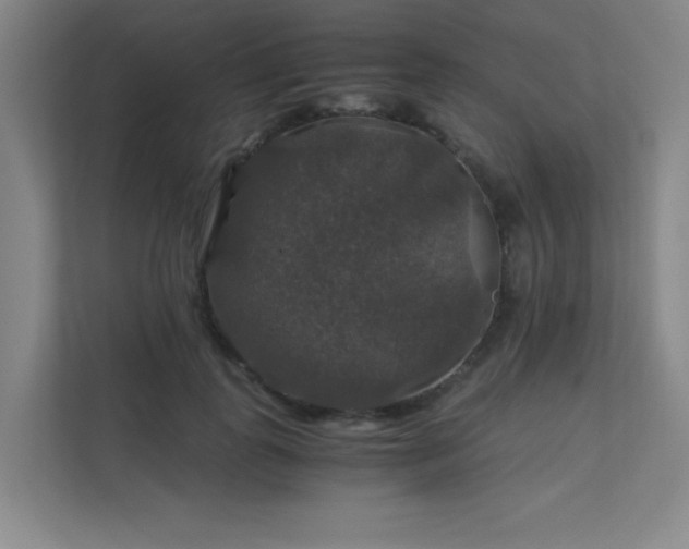 X0000112010747200908101341