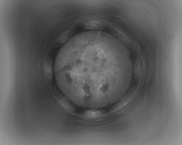 X0000112010749200908101342