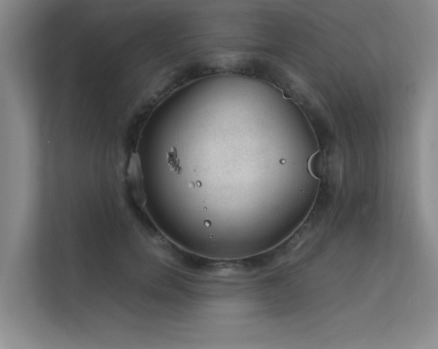 X0000112010750200908101342