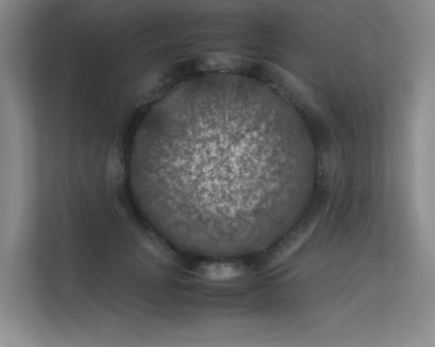 X0000112010751200908101342