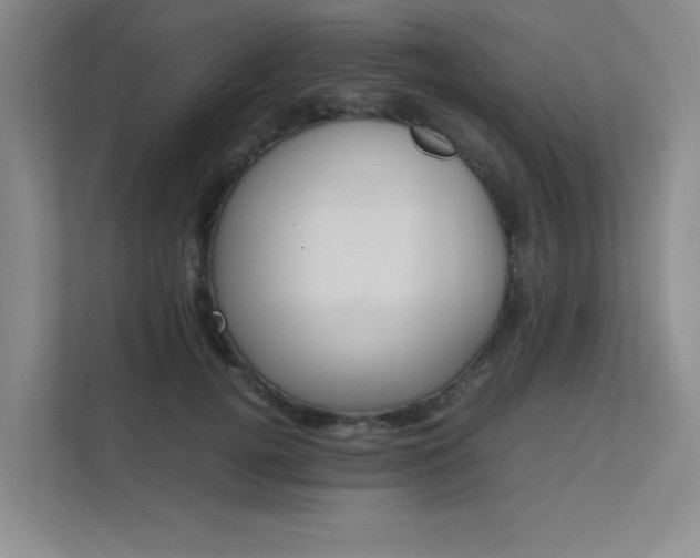 X0000112010752200908101342