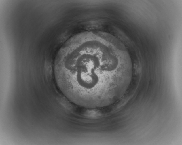 X0000112010753200908101342