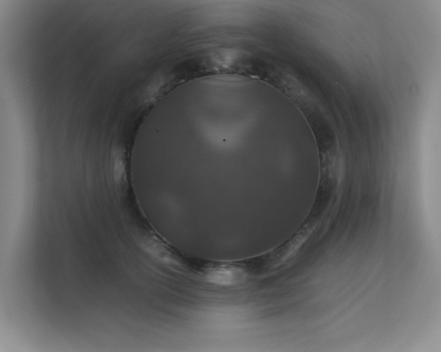 X0000112010754200908101342