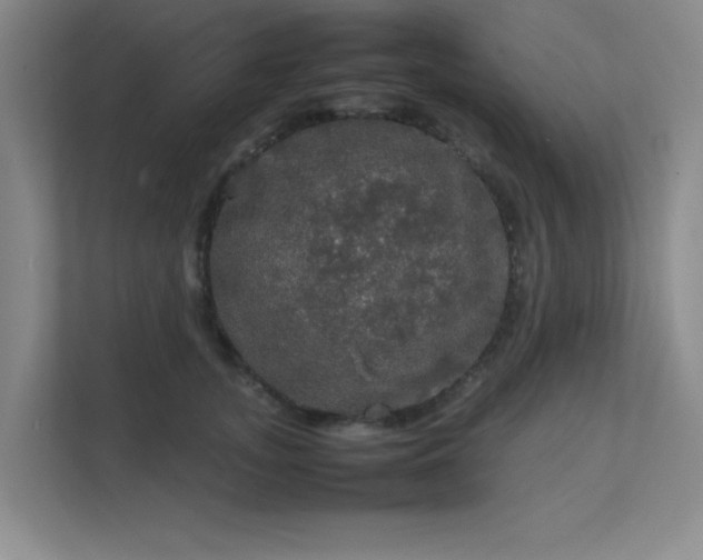 X0000112010755200908101342