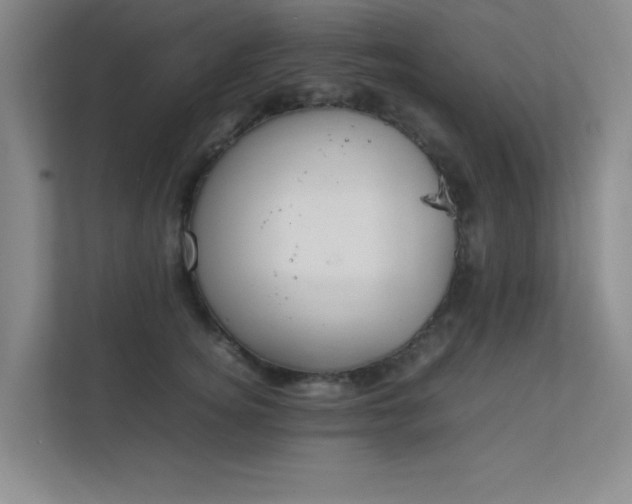 X0000112010756200908101342