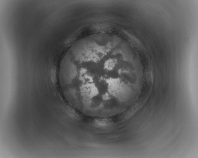 X0000112010757200908101342