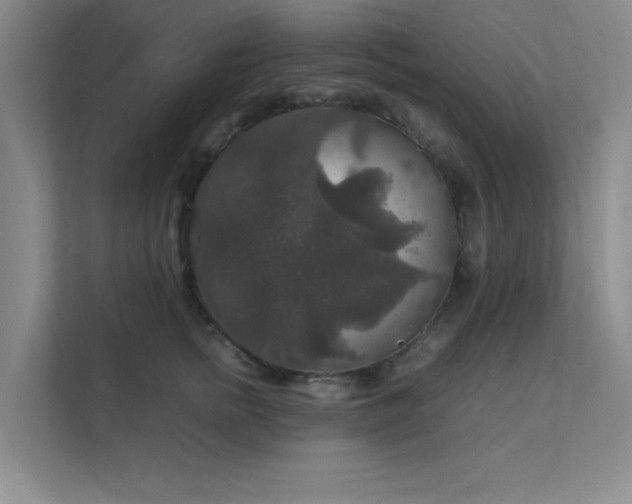 X0000112010758200908101342