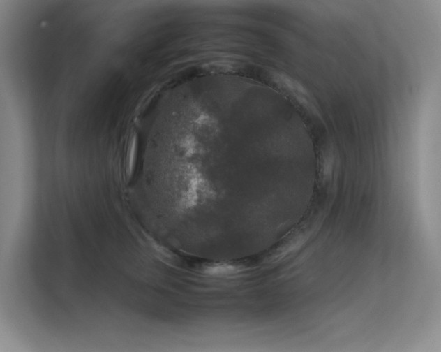 X0000112010759200908101342