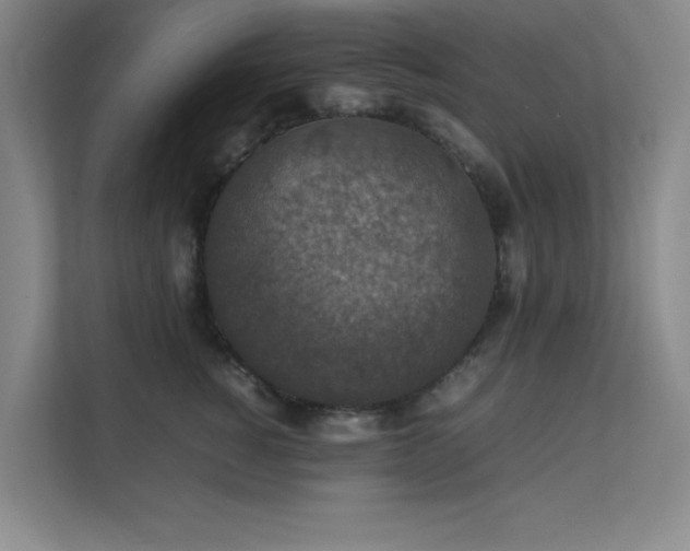 X0000112010760200908101342