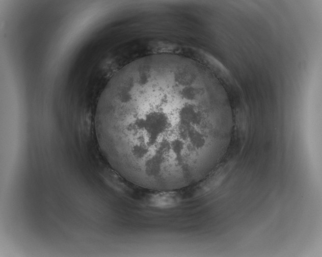 X0000112010761200908101342