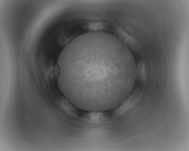 X0000112010762200908101342