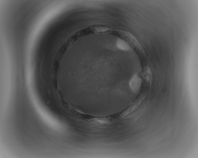 X0000112010763200908101342