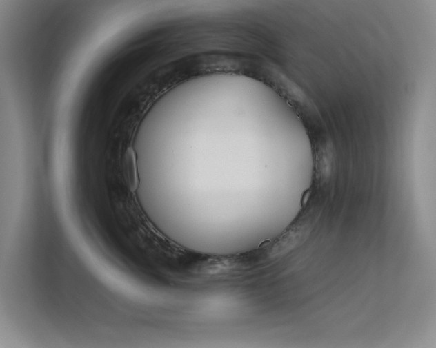 X0000112010764200908101342