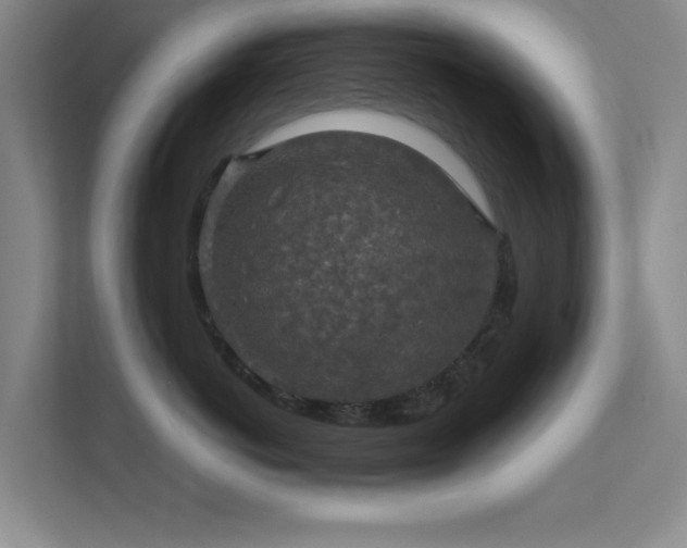 X0000112010766200908101342