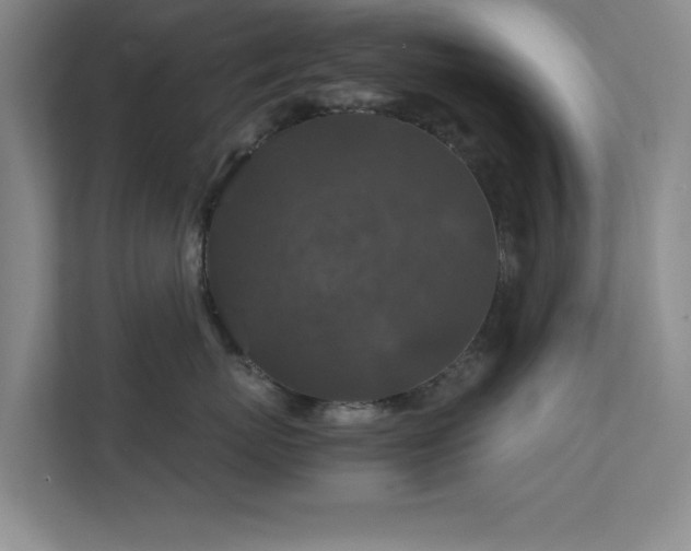 X0000112010767200908101342