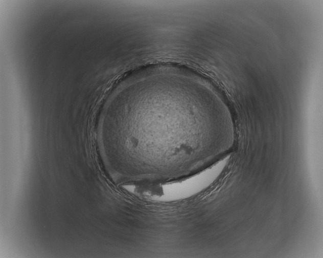 X0000112010769200908101341