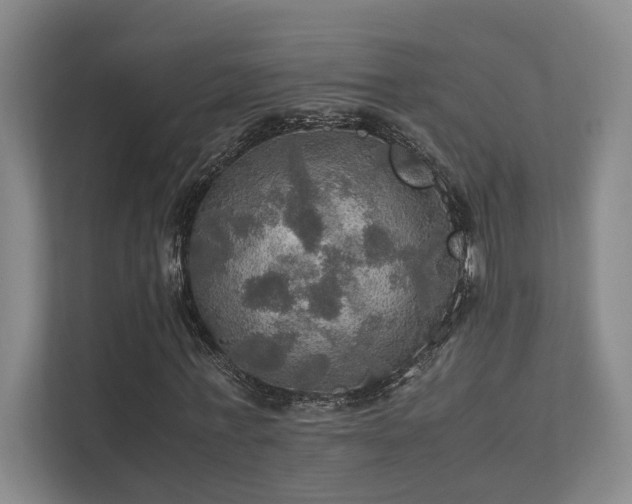 X0000112010771200908101341