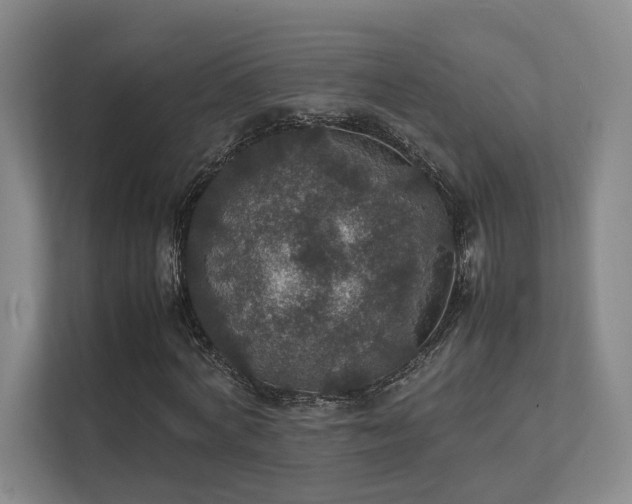 X0000112010772200908101341