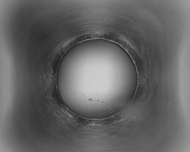 X0000112010773200908101341