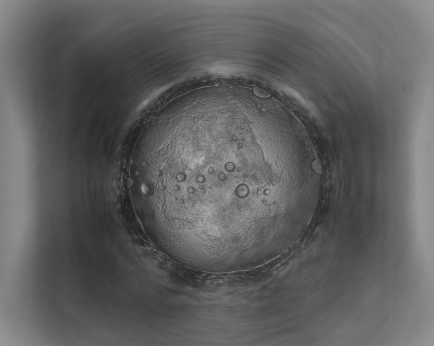 X0000112010776200908101341