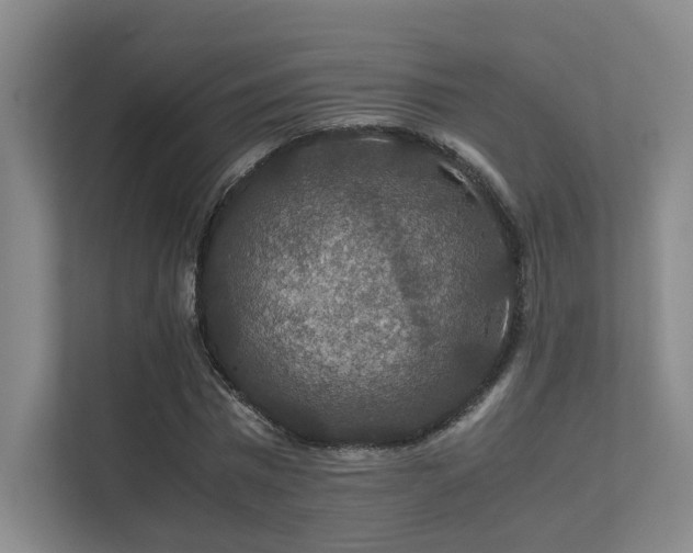 X0000112010777200908101341