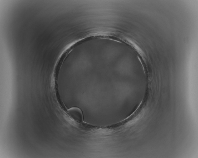 X0000112010779200908101341