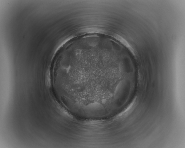 X0000112010782200908101341