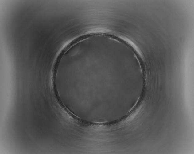 X0000112010783200908101341