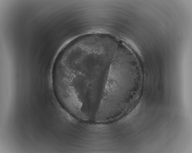 X0000112010784200908101341