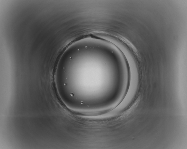 X0000112010785200908101341