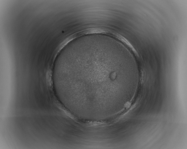 X0000112010786200908101341