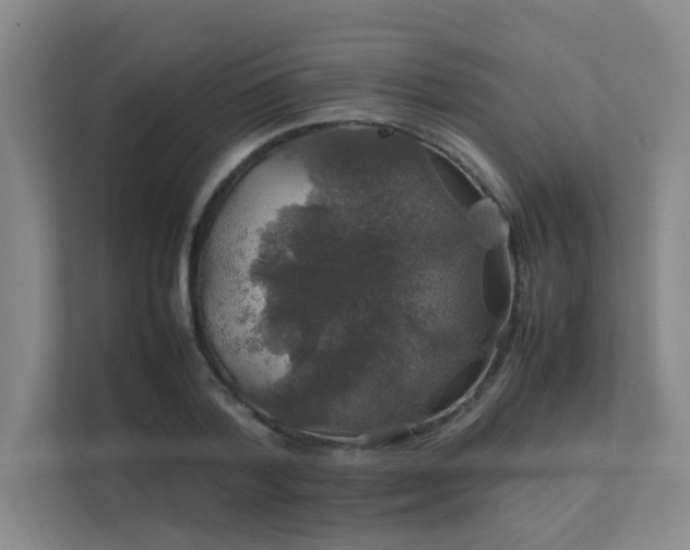 X0000112010788200908101341