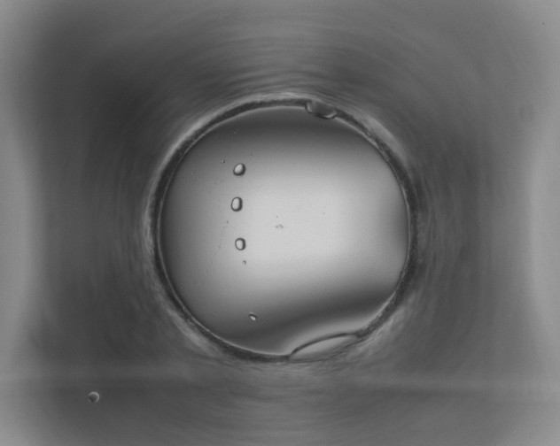 X0000112010789200908101341