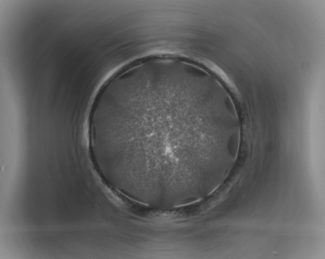 X0000112010791200908101341