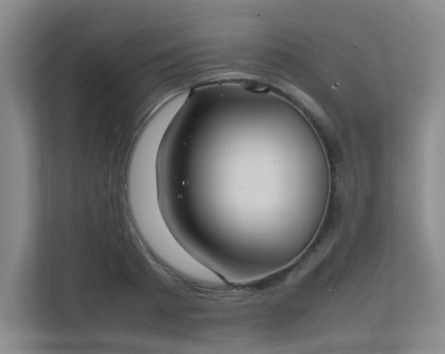 X0000112010793200908101341