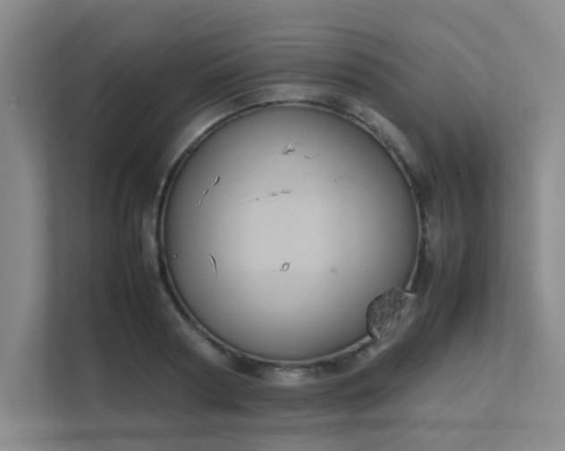 X0000112010794200908101341