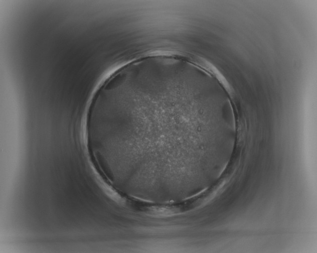 X0000112010795200908101341