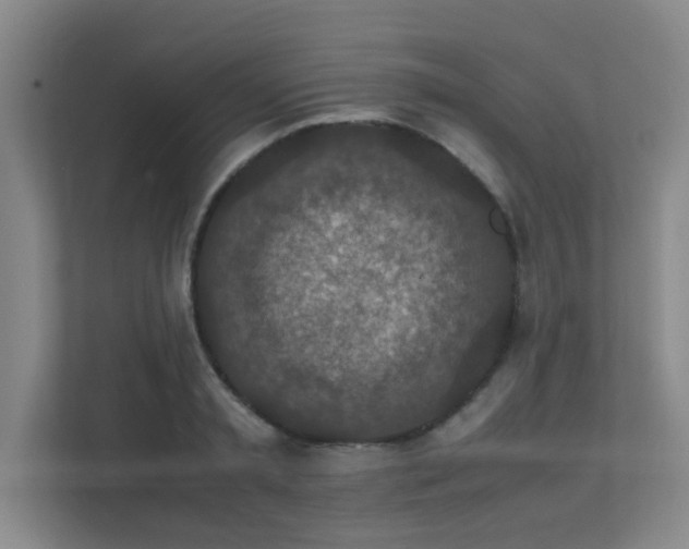 X0000112010797200908101341