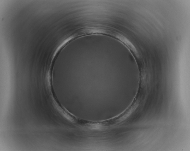 X0000112010798200908101341