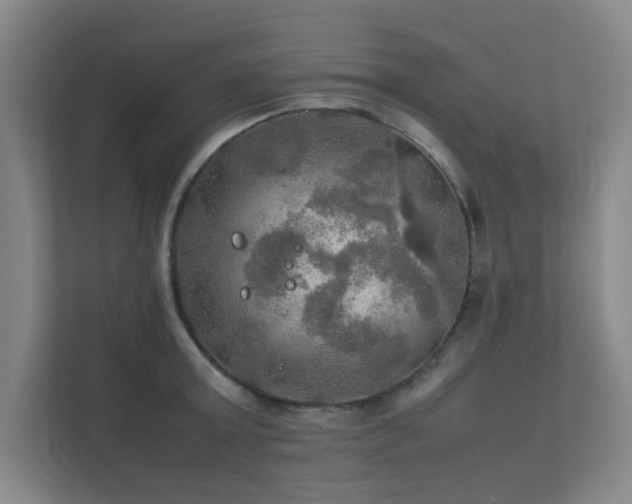 X0000112010803200908101341