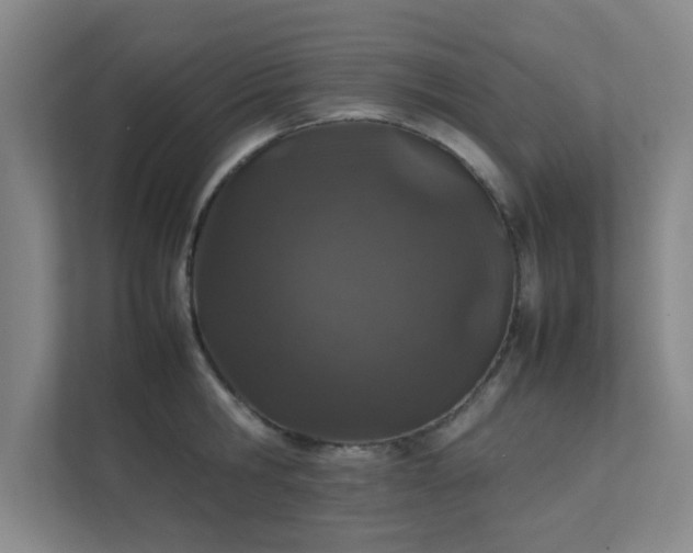 X0000112010806200908101341