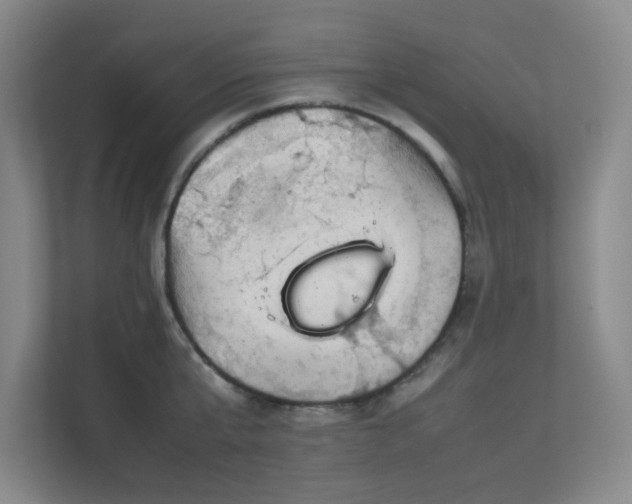 X0000112010807200908101341