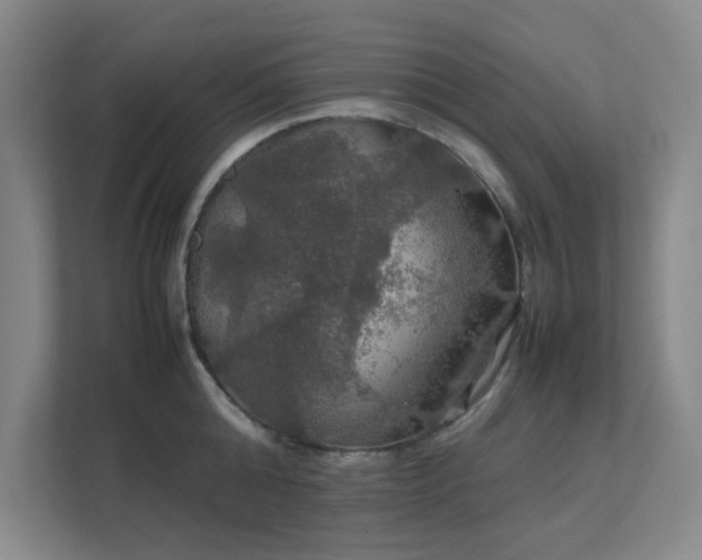 X0000112010808200908101341